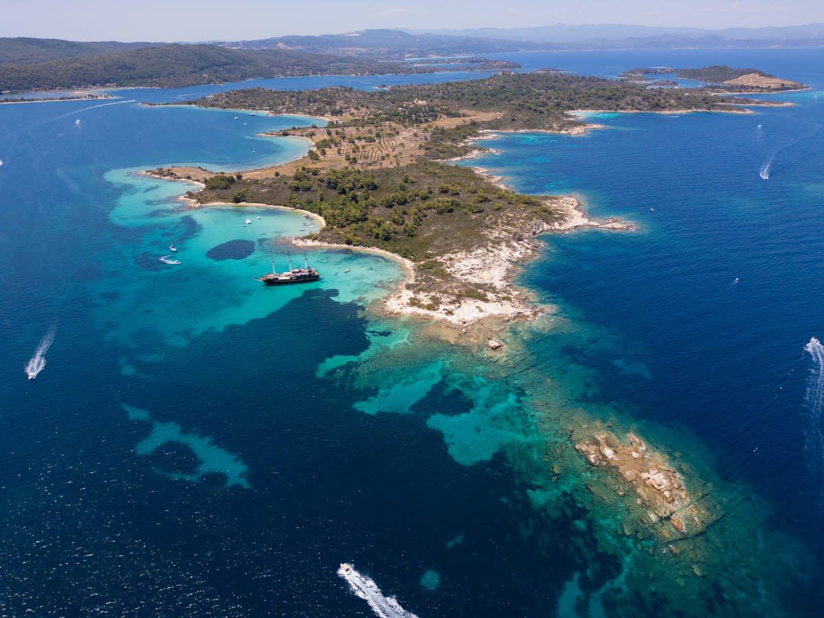 Cover of activity #7583