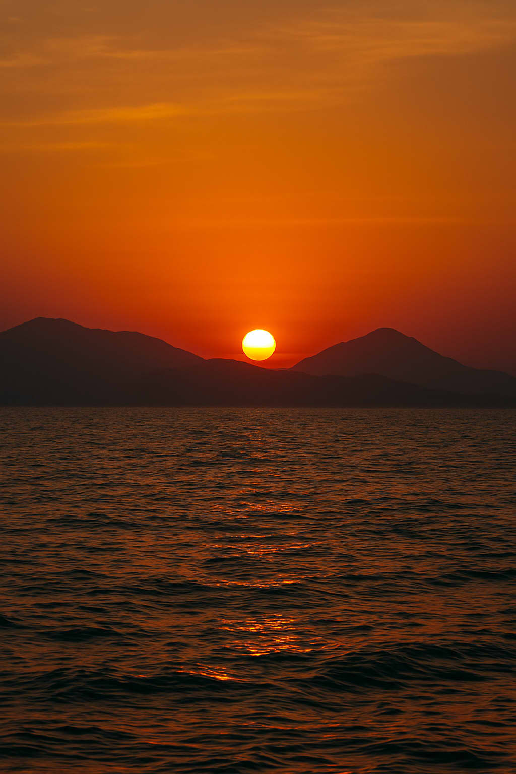 Cover of activity #7577