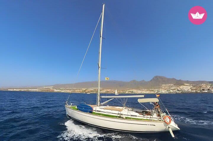 Whales and Secret Bays – Private Sailing Experience