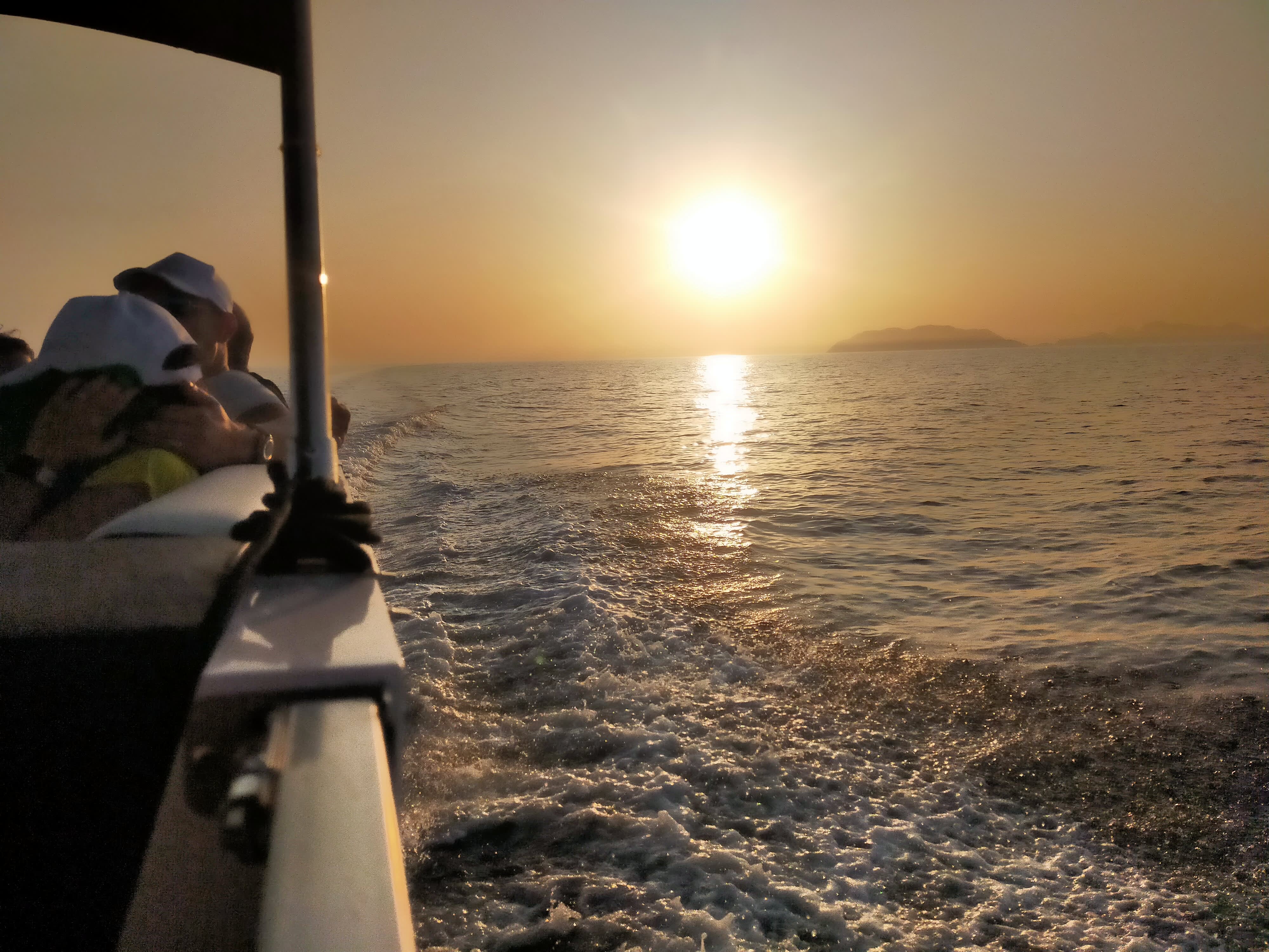 Cover of activity #14542