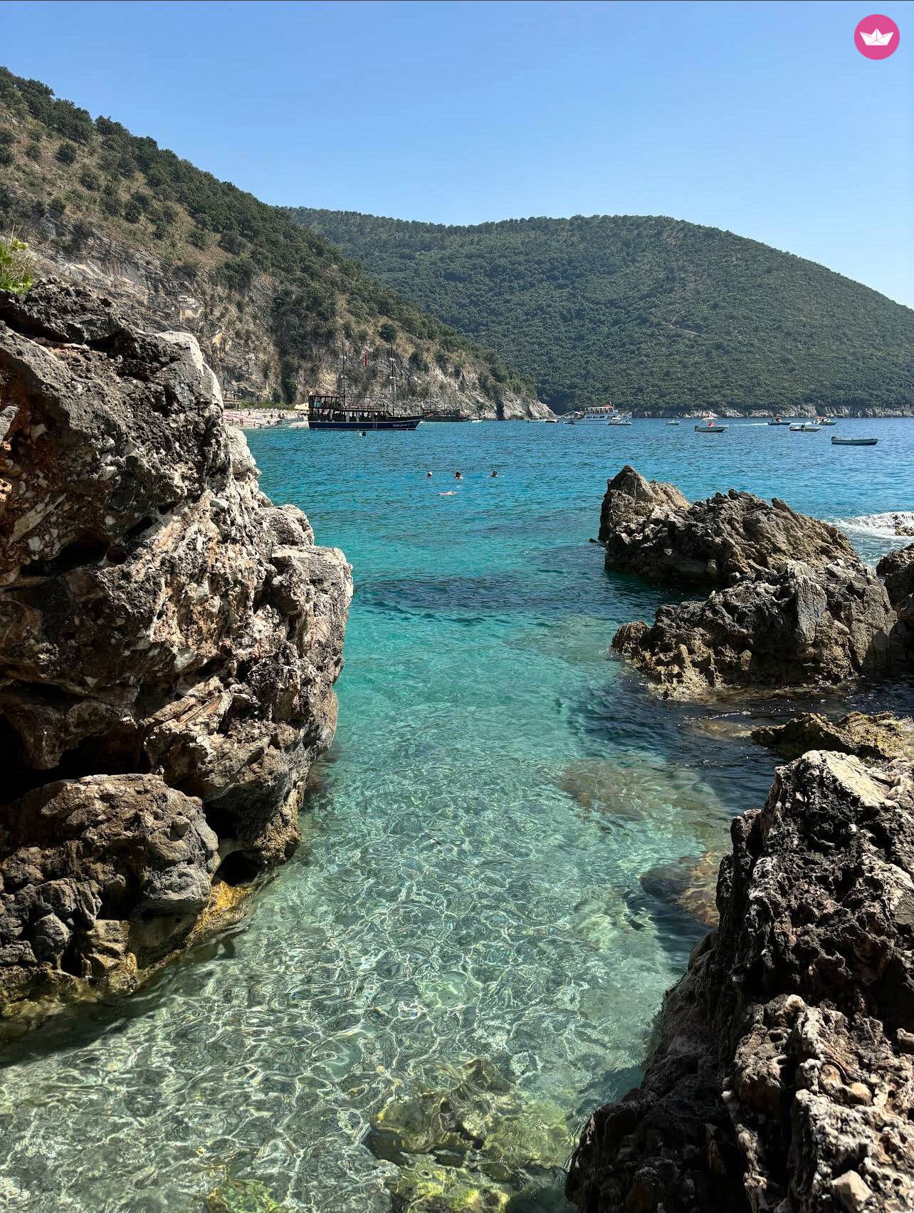 Cover of activity #8033