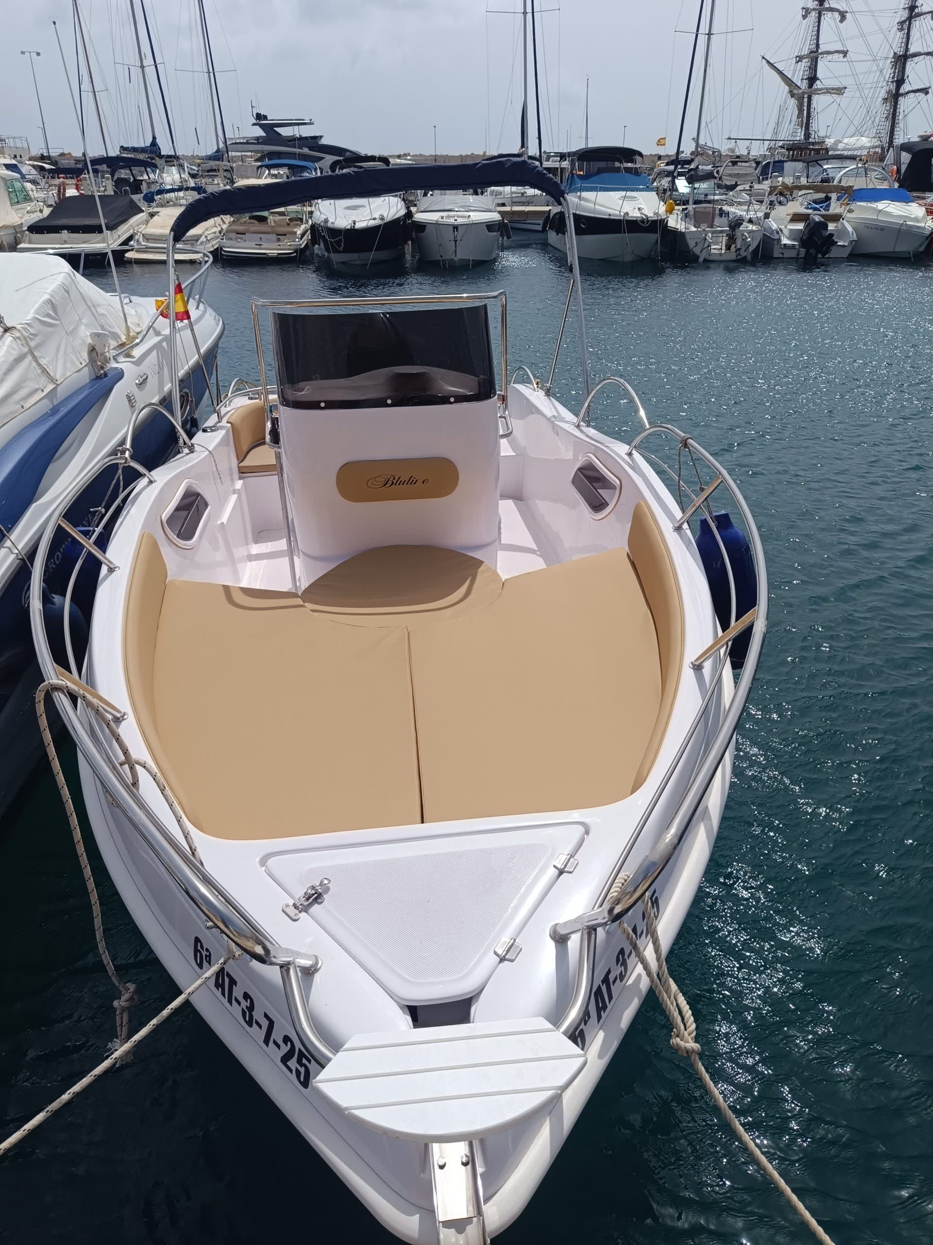 Cover of activity #26230