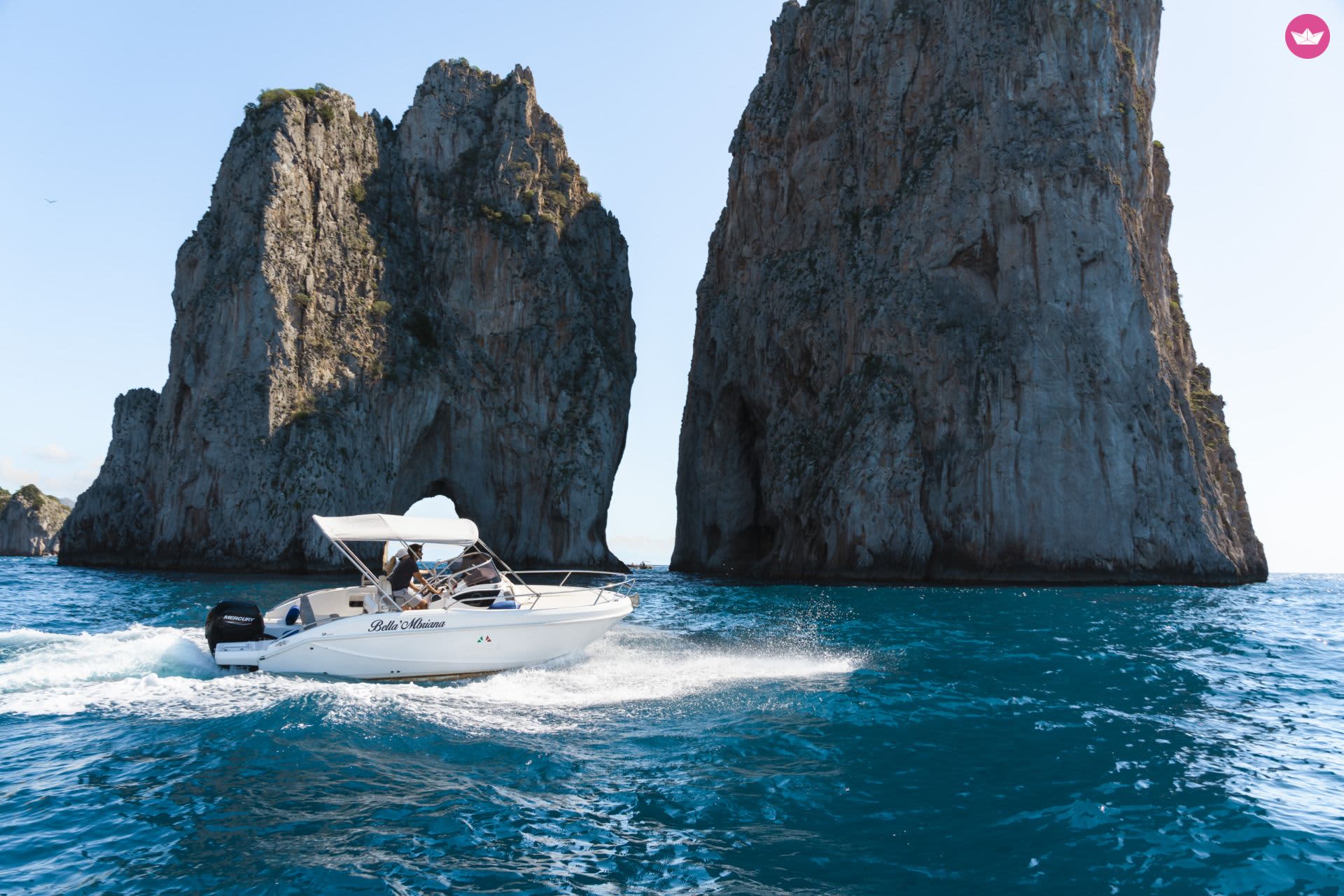 Cover of activity #11838