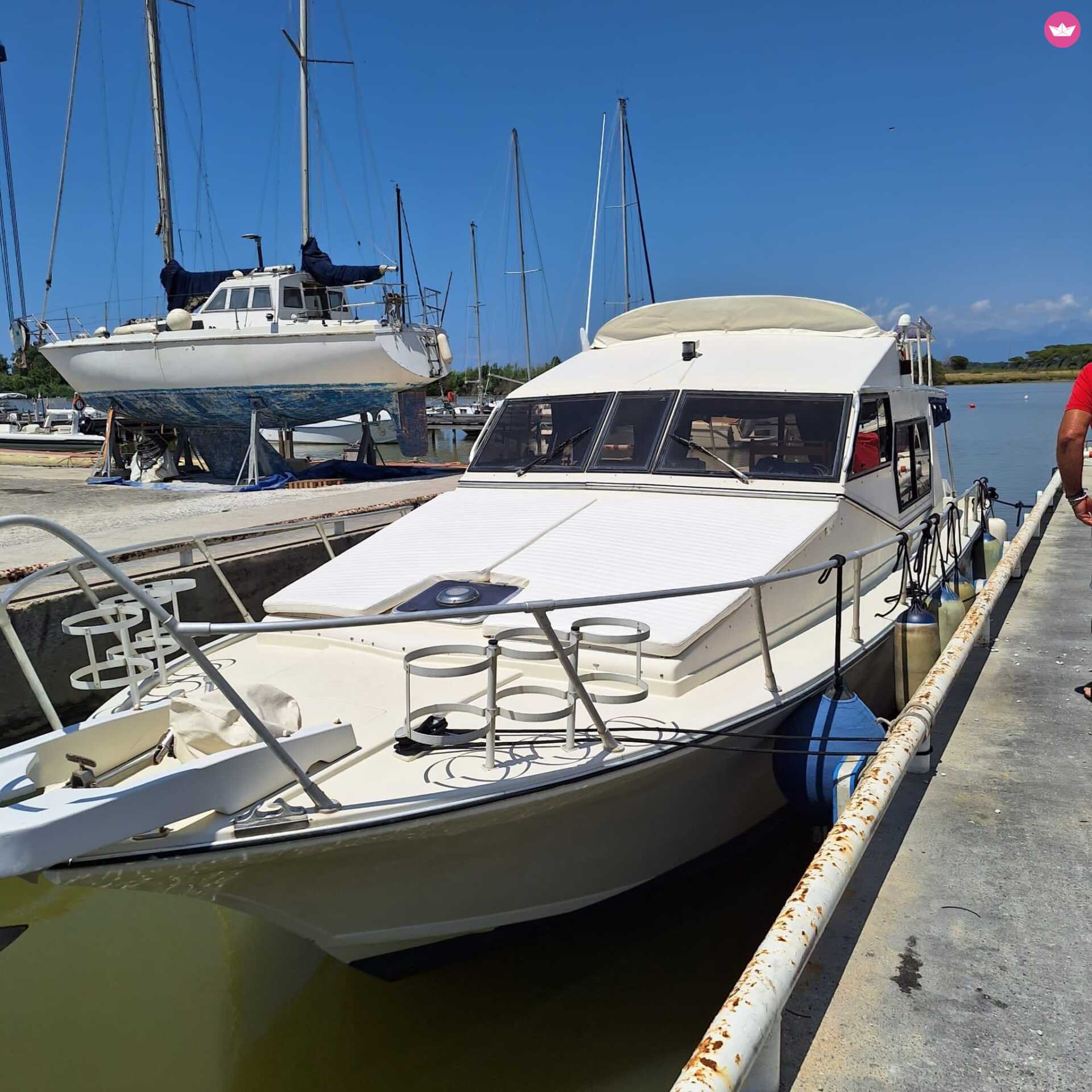 Cover of activity #7737