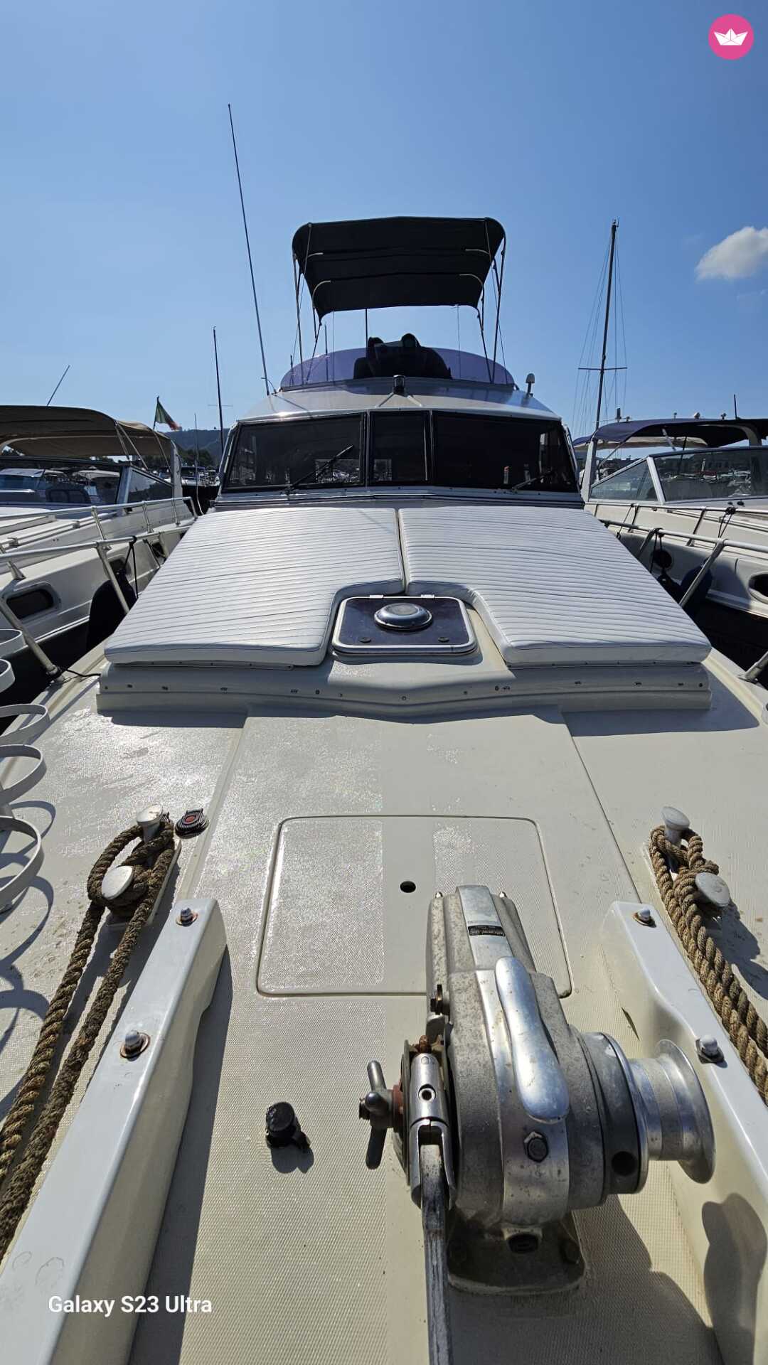 Cover of activity #7736