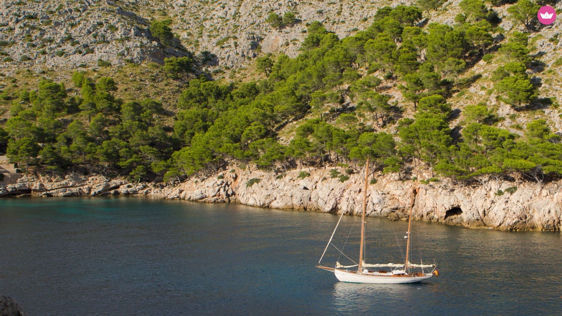 Cover of activity #9442