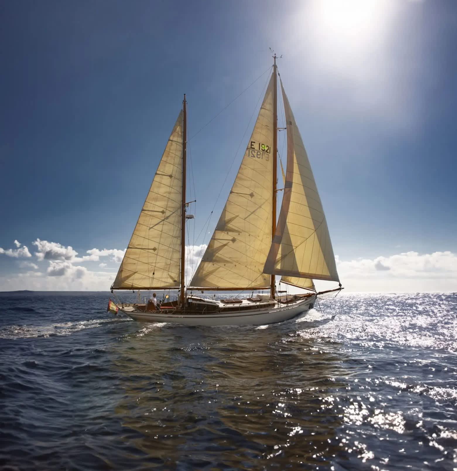 Cover of activity #9443