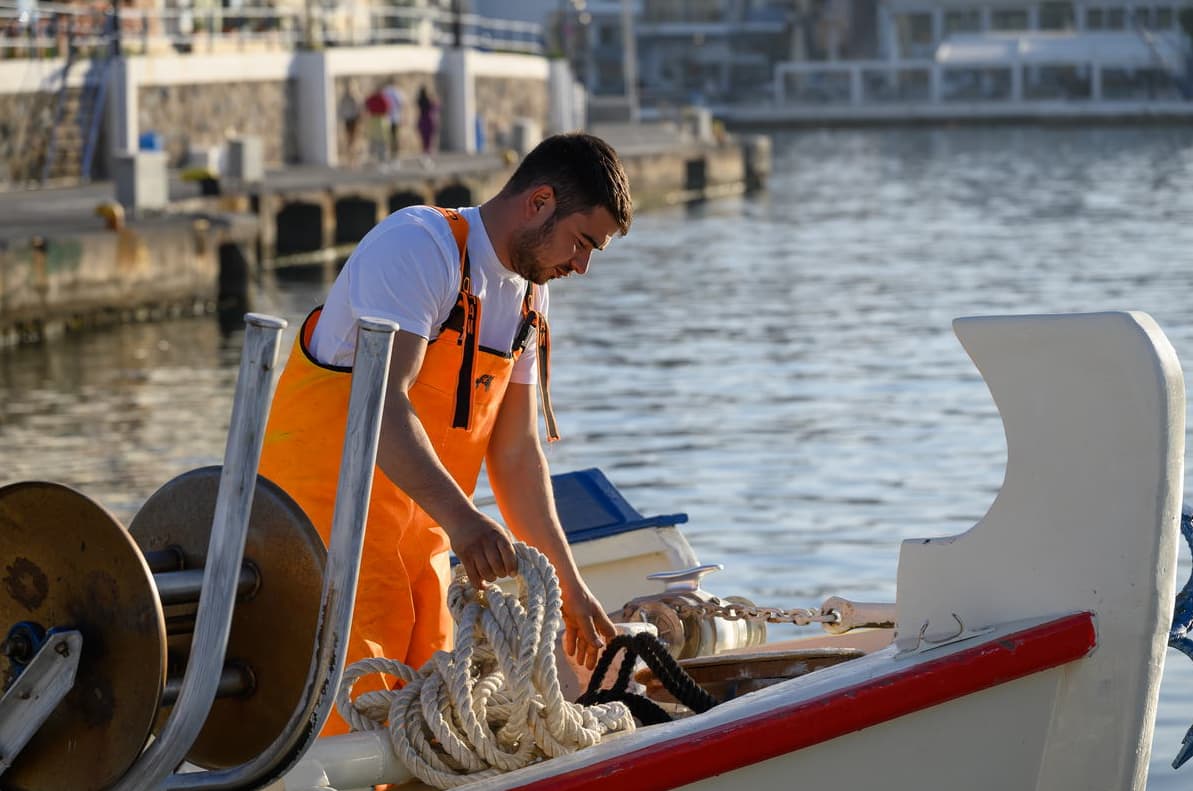 Cover of activity #8048