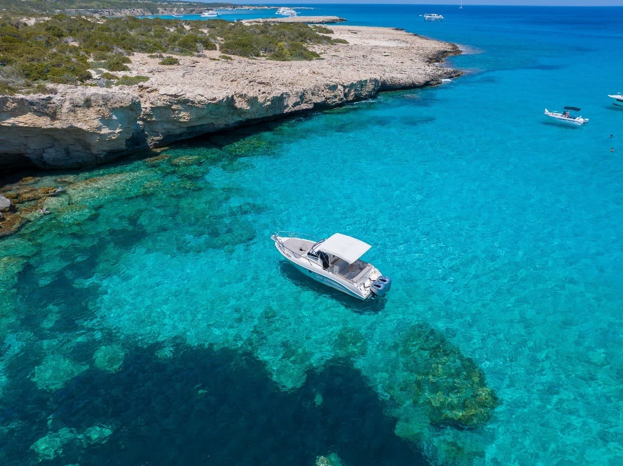 Cover of activity #28401