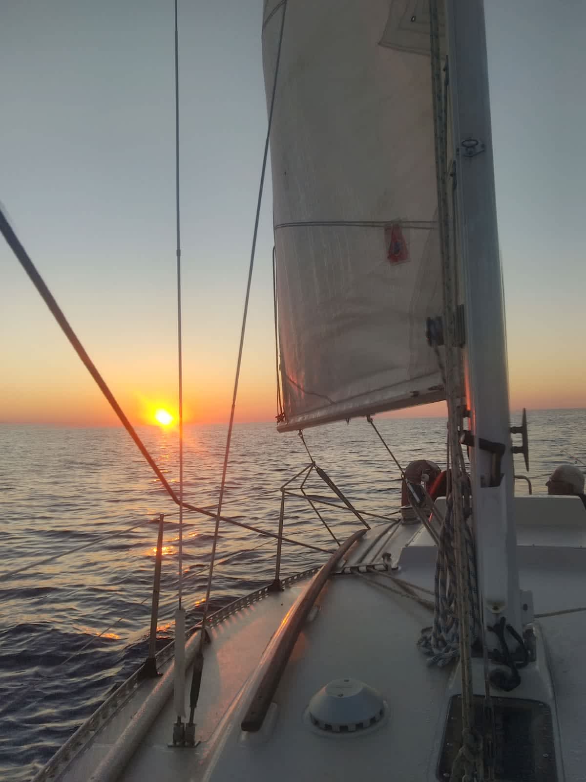 Cover of activity #7968