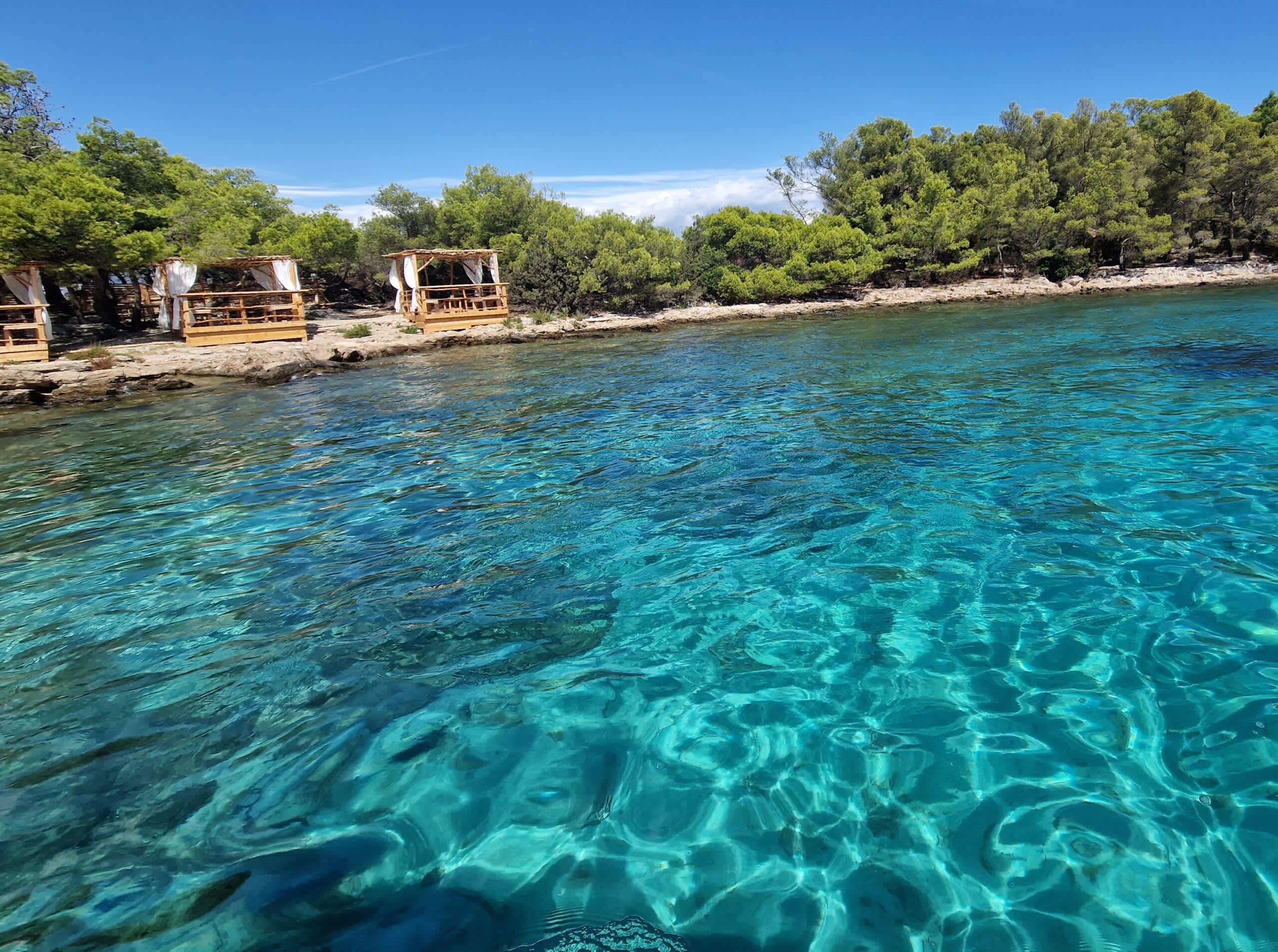 Cover of activity #7511