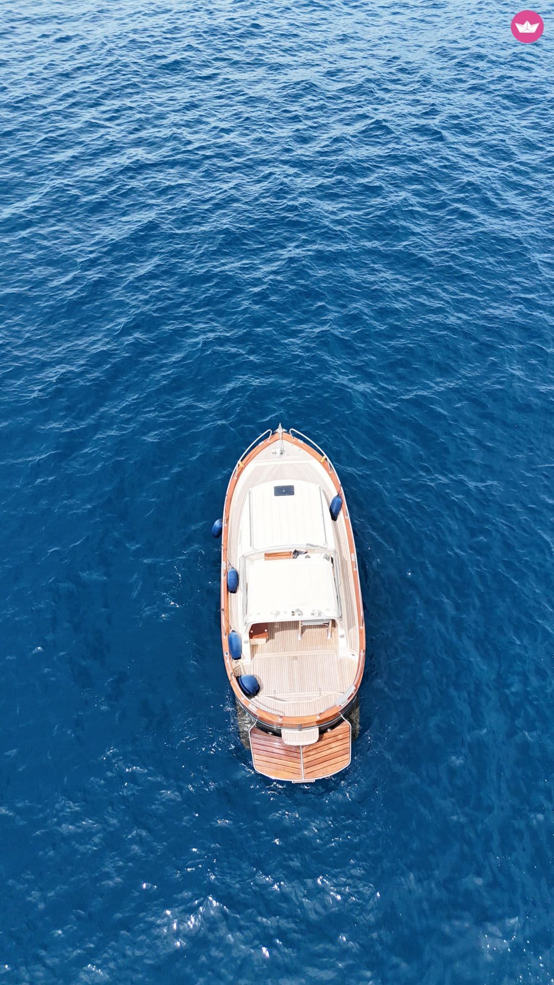 Cover of activity #8260