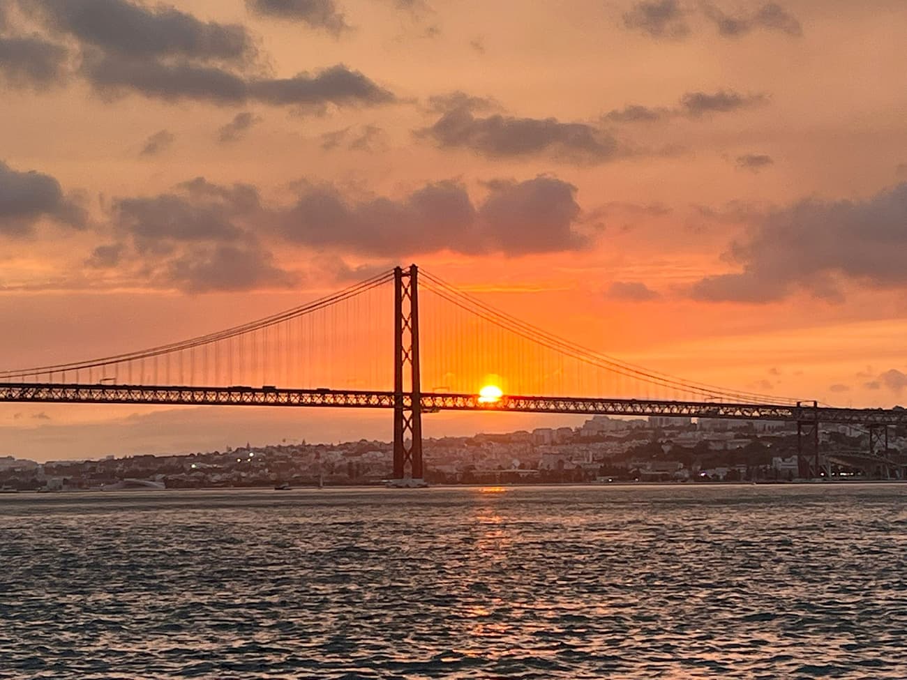 Cover of activity #7703