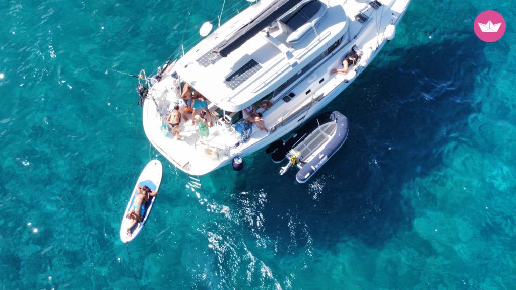 Cover of activity #6877