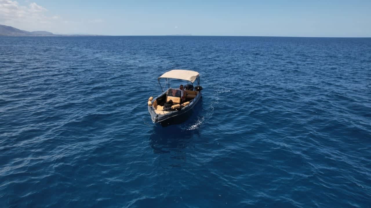 Cover of activity #28477