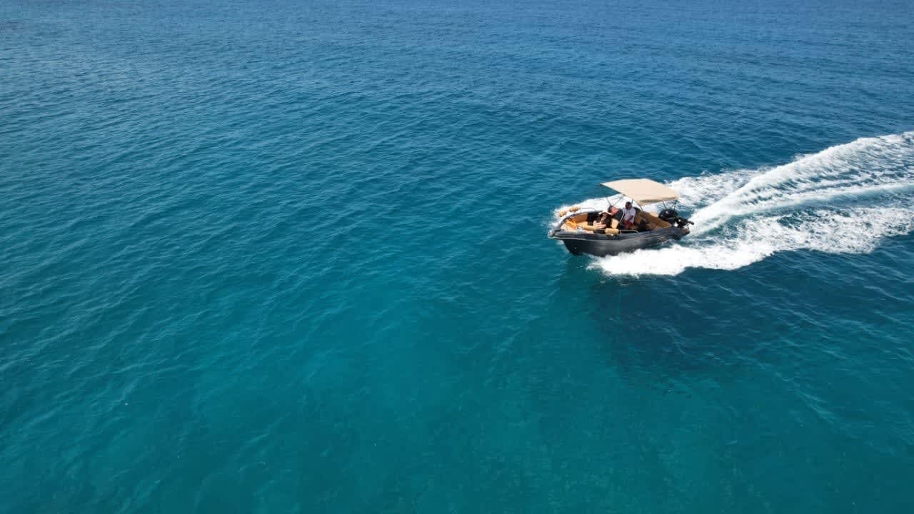 Cover of activity #28476