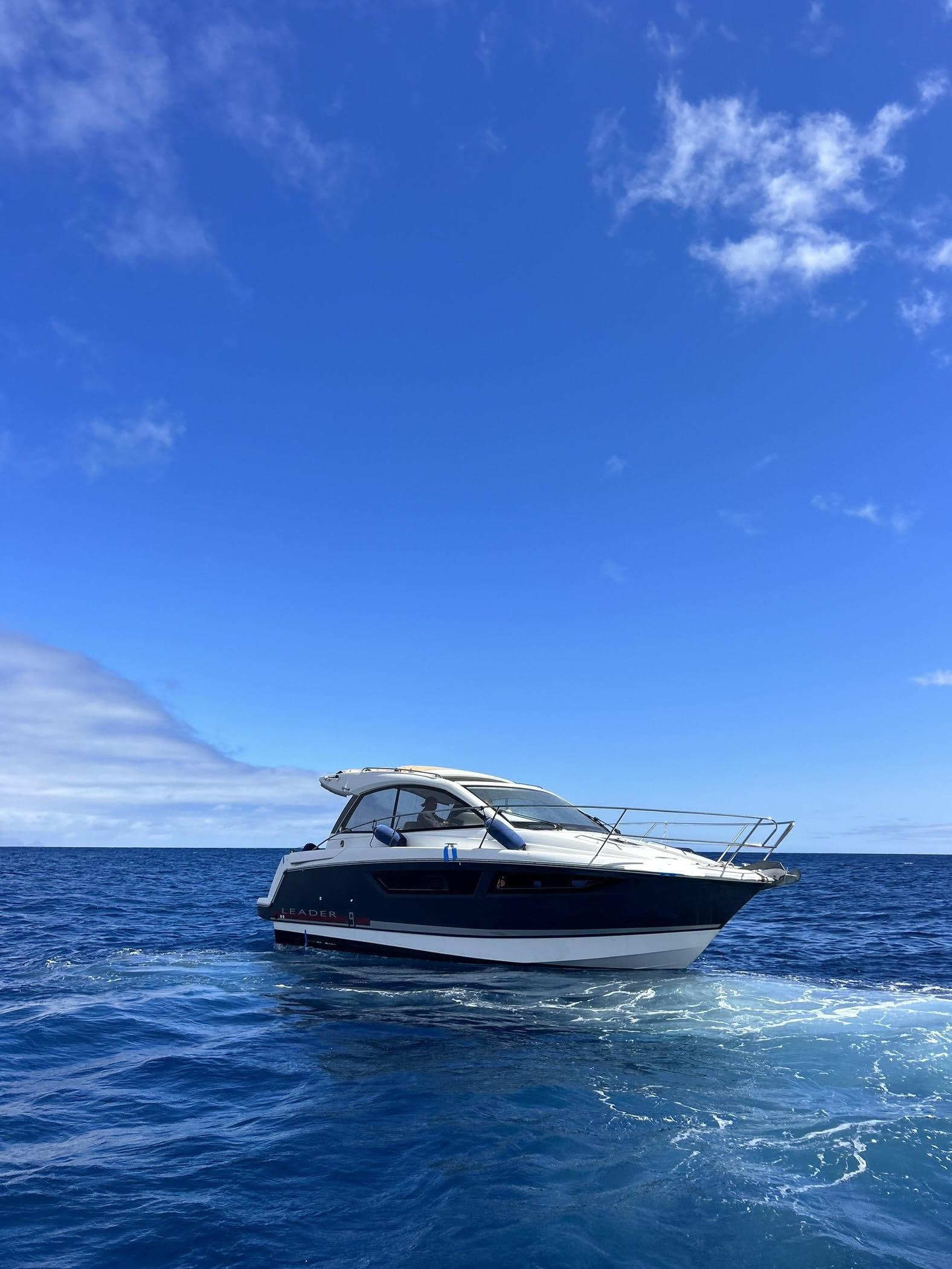 Cover of activity #8220