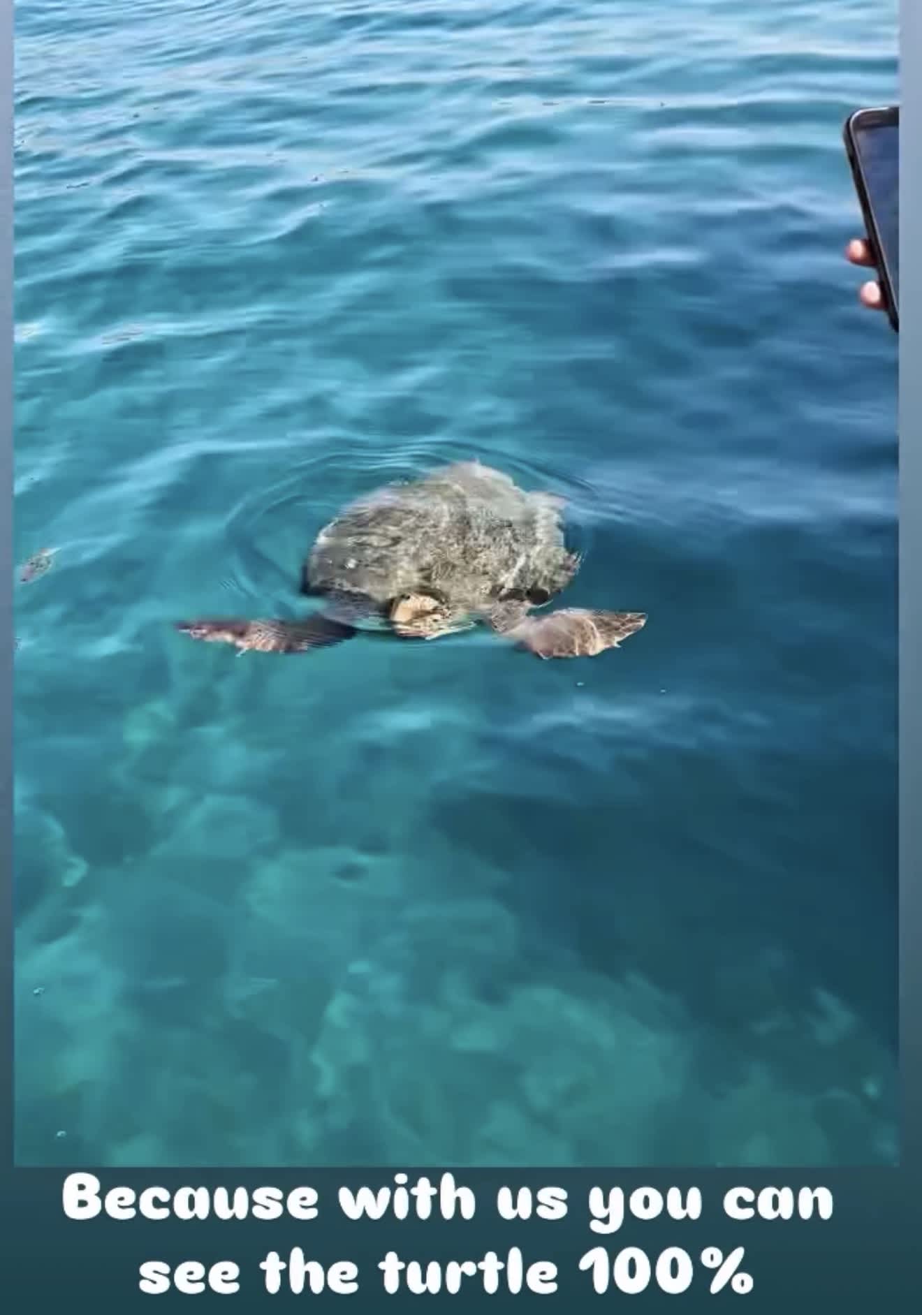 Cover of activity #11850