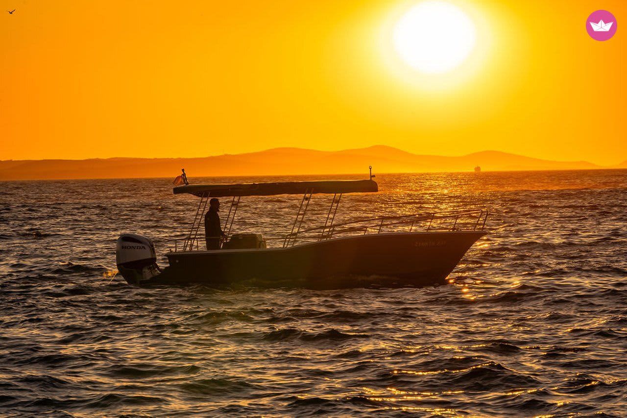 Cover of activity #7934