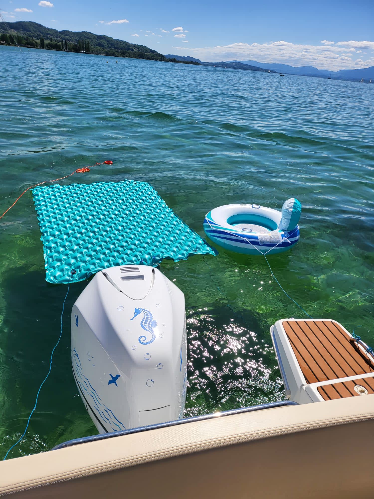 Cover of activity #8427