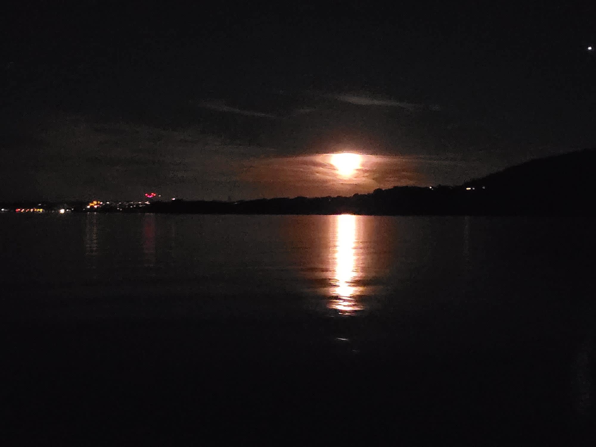 Cover of activity #9047