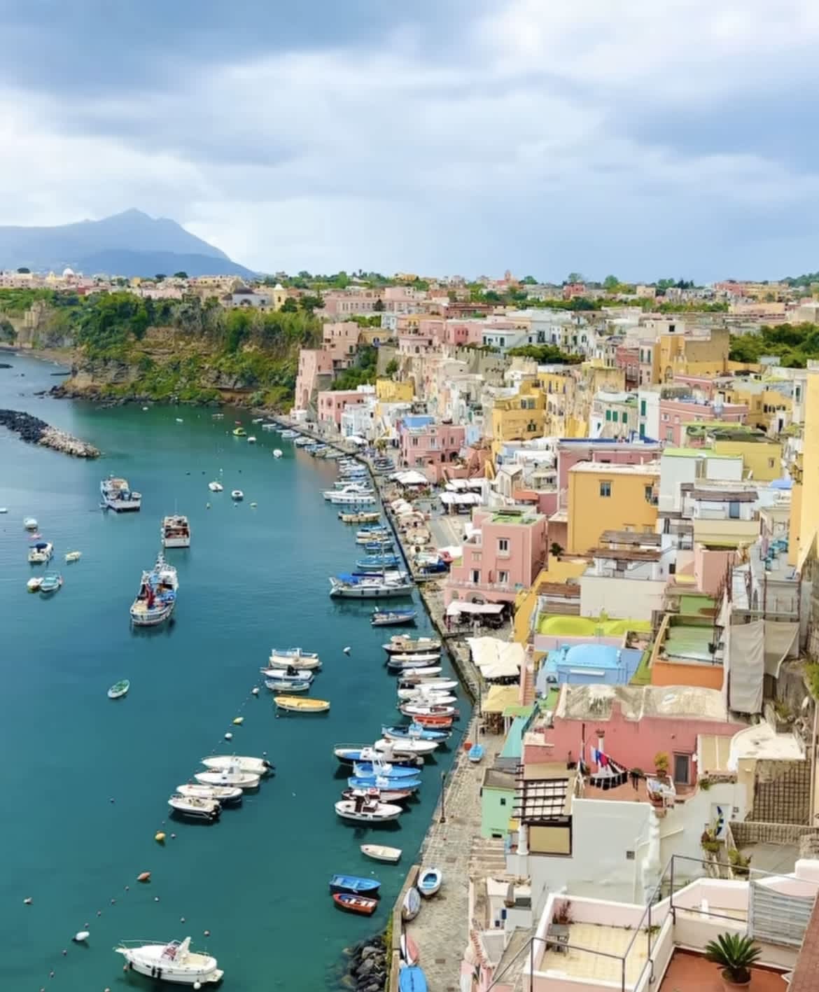 Cover of activity #11318