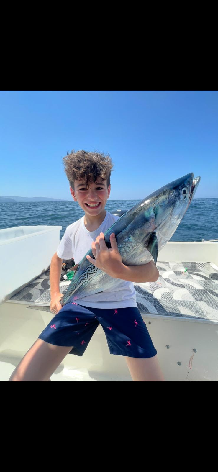 Cover of activity #11294