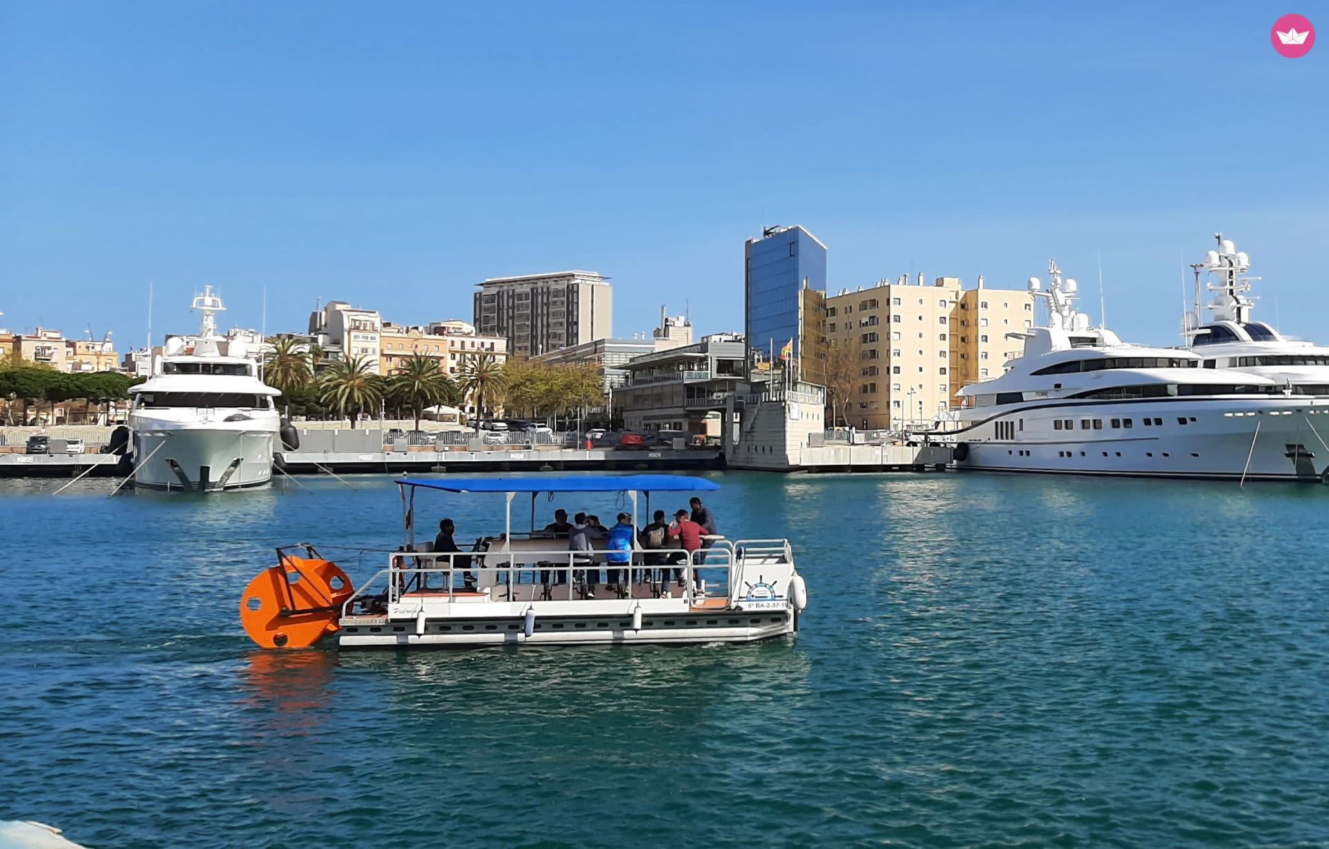 Cover of activity #13666