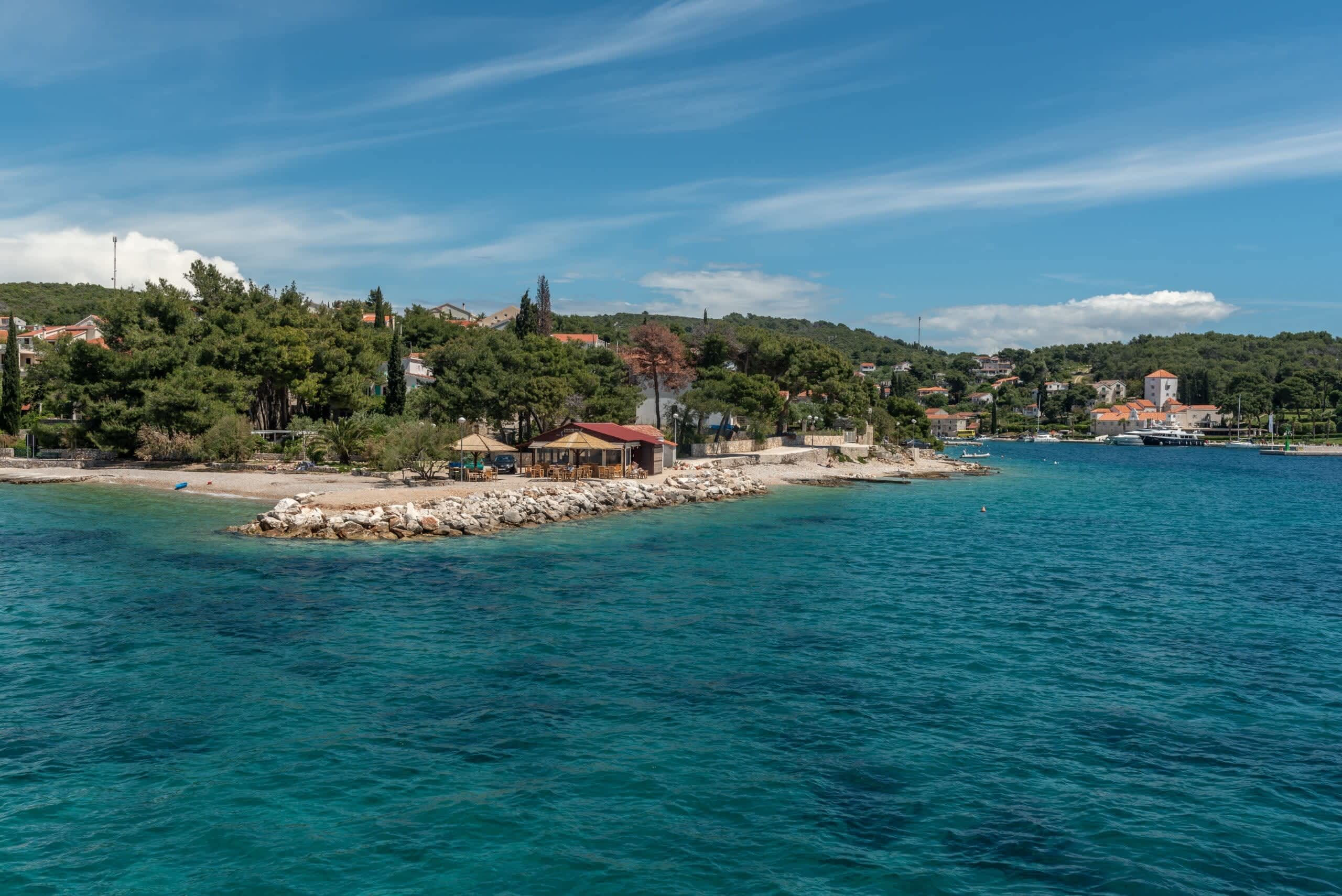 Cover of activity #9988