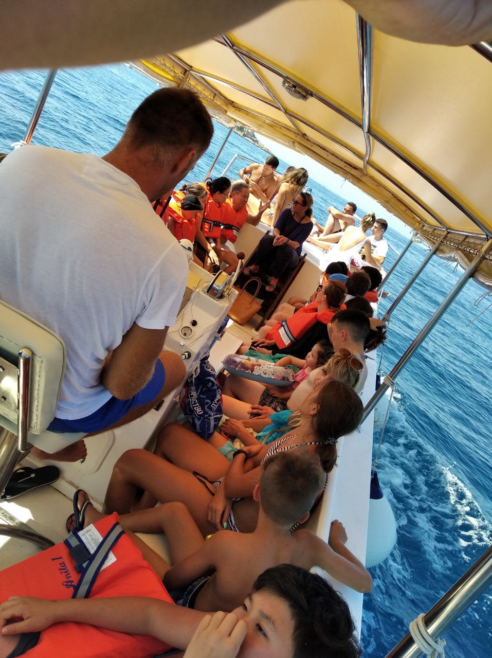 Cover of activity #11697