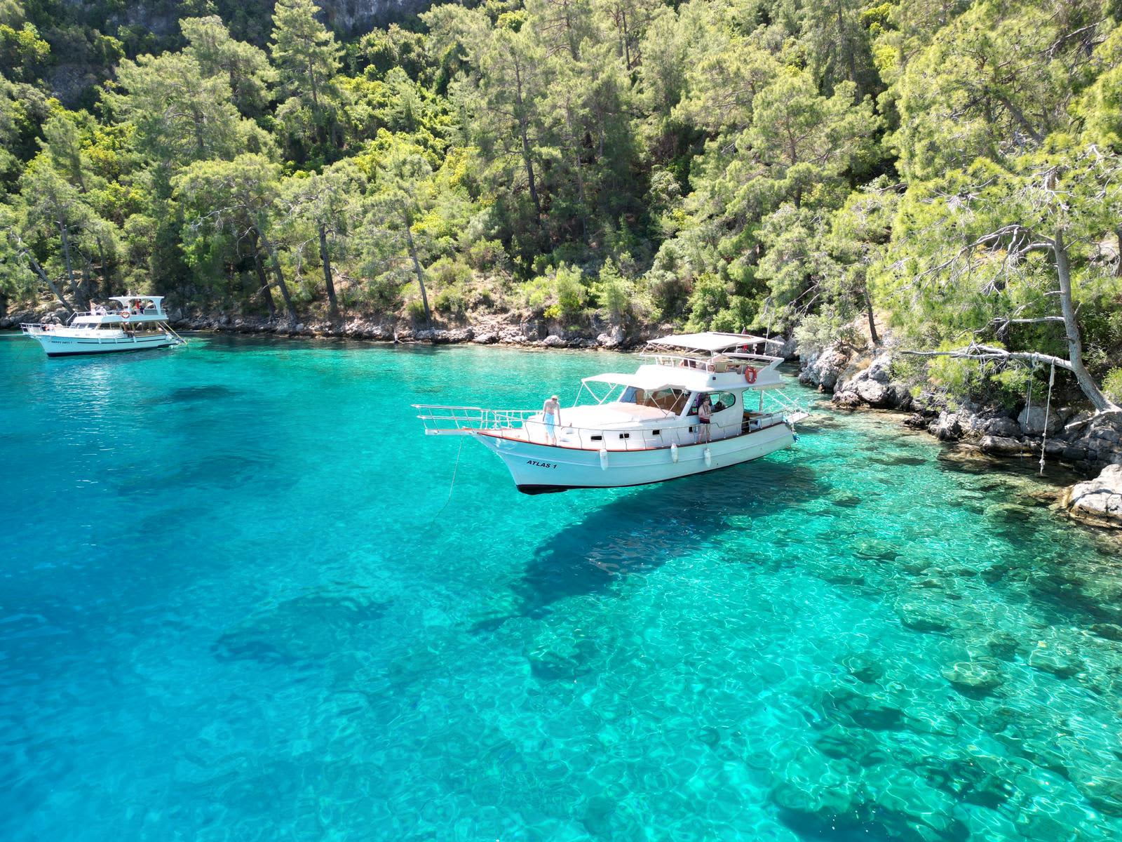 Cover of activity #8701