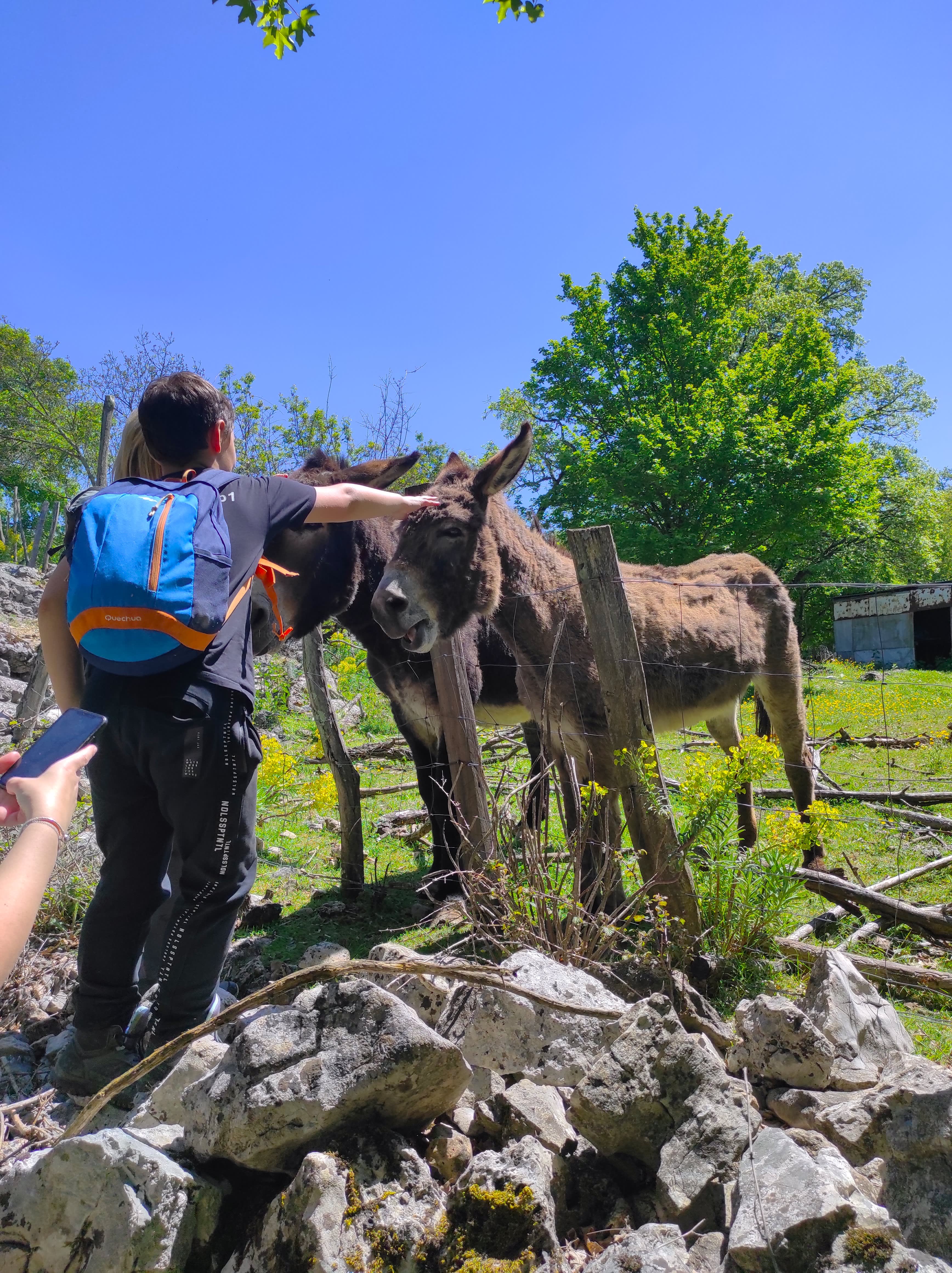 Cover of activity #12636