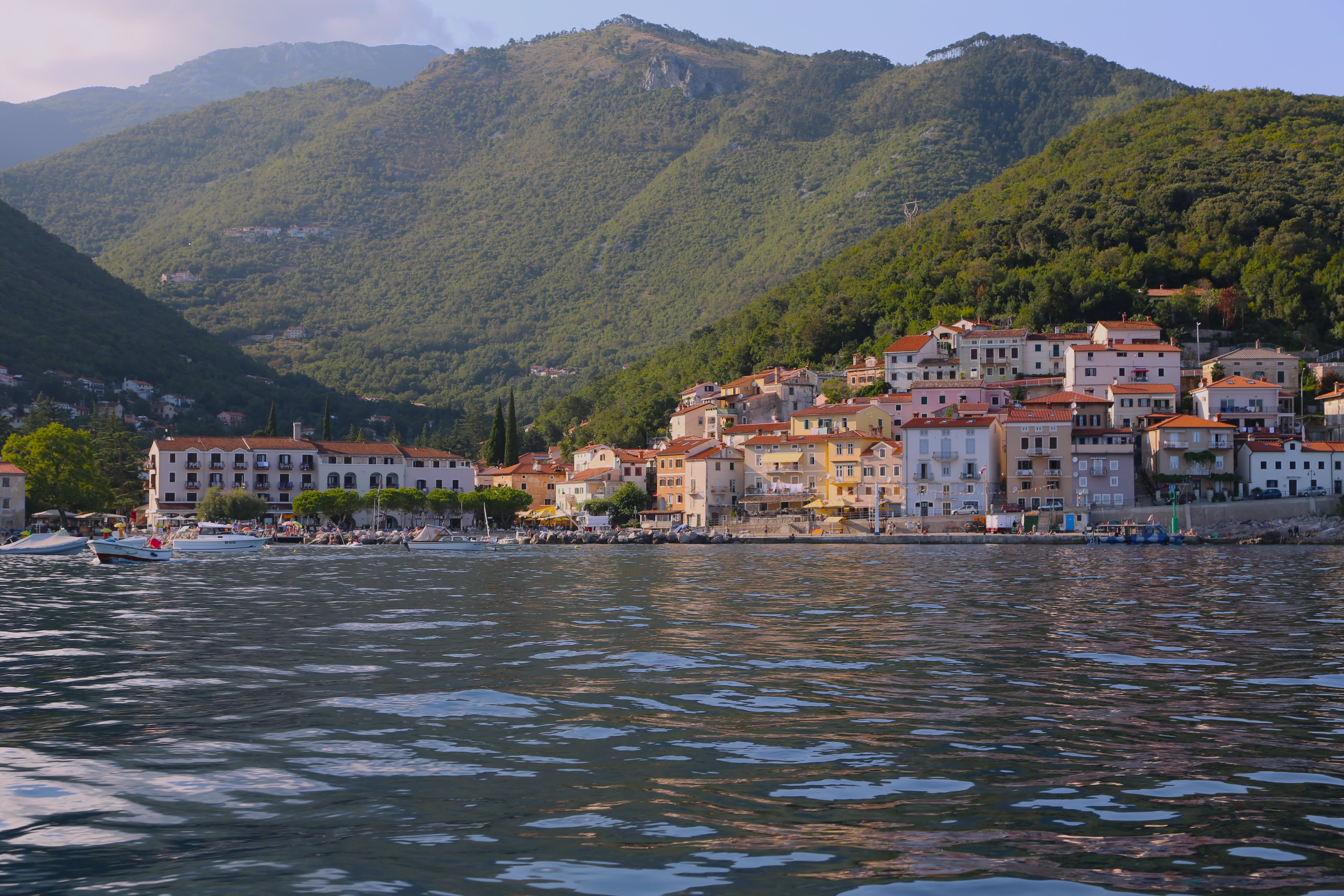 Cover of activity #12638