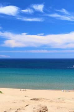 Cover of activity #11045