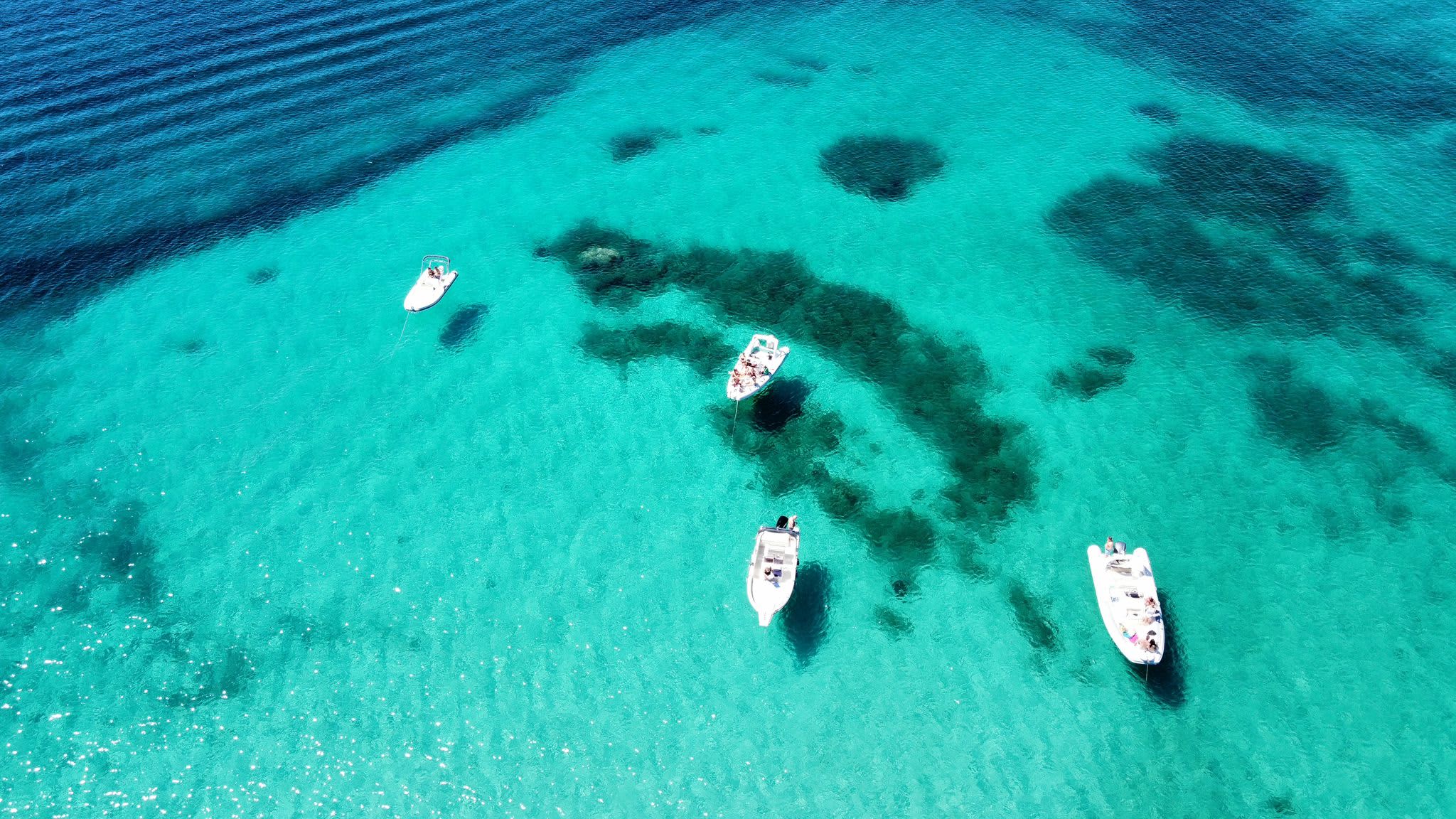 Cover of activity #10373