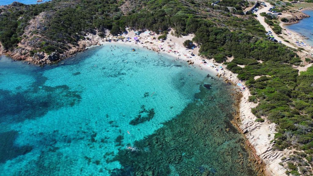 Cover of activity #13390