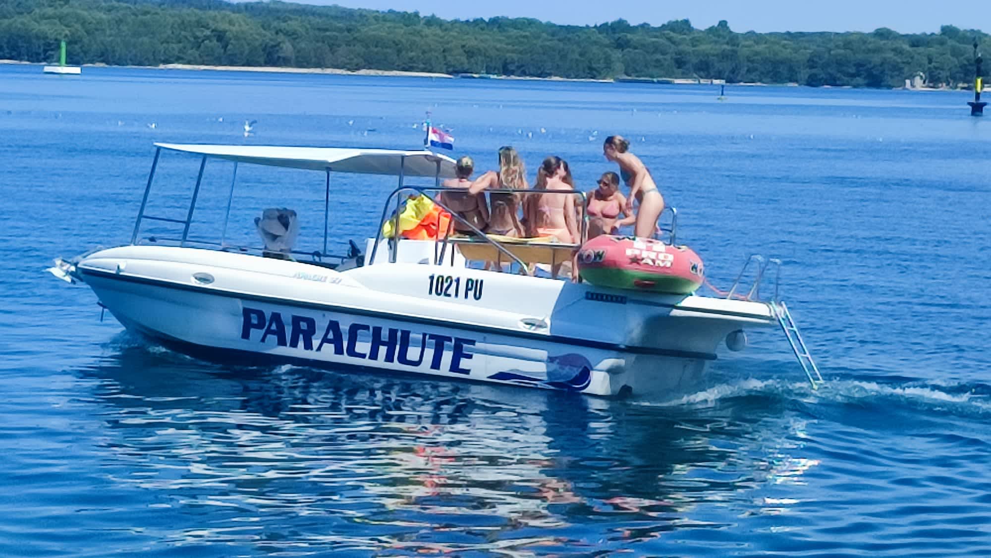 Cover of activity #8538