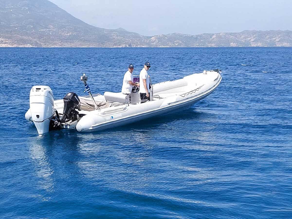 Cover of activity #10083