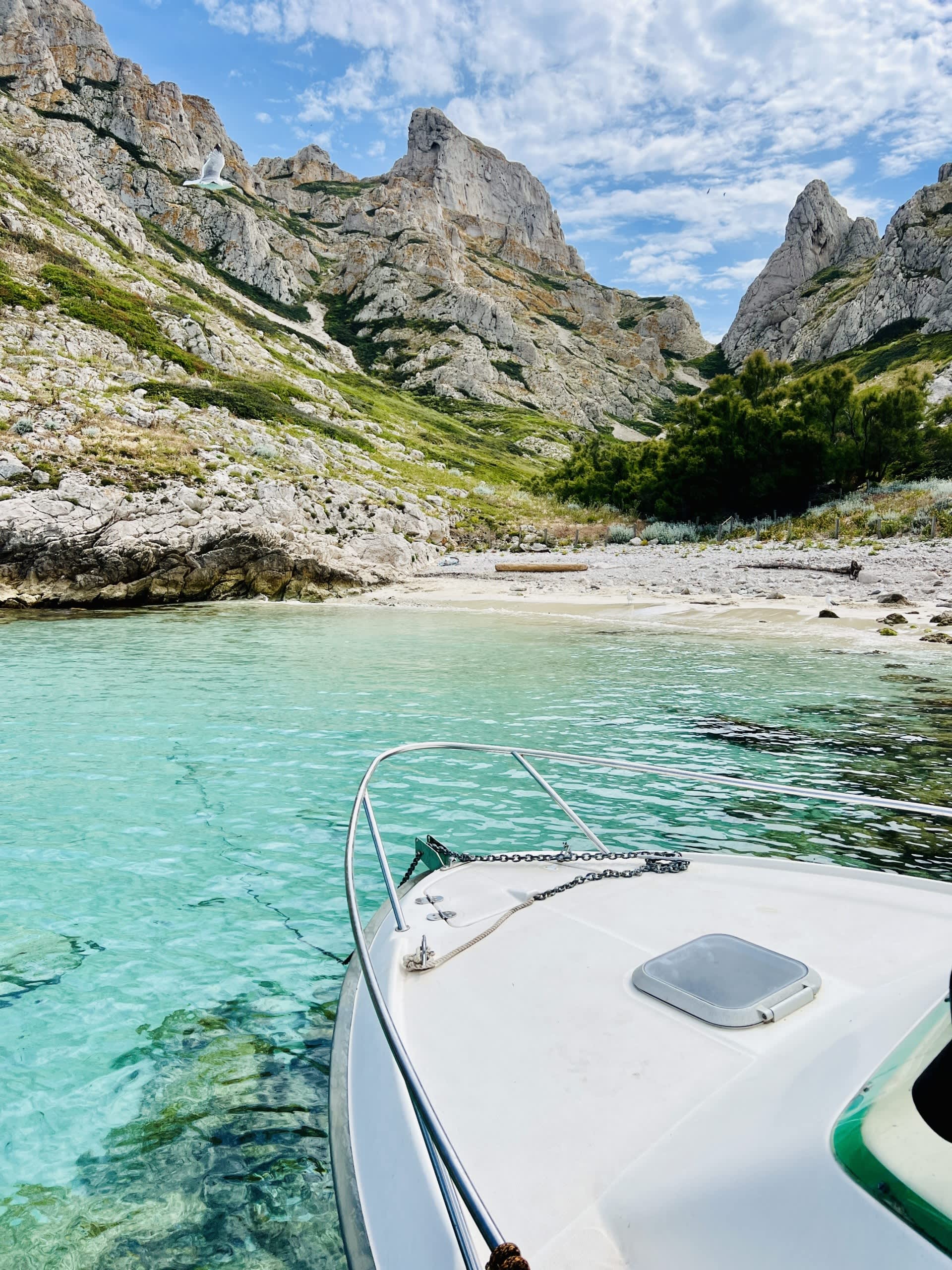 Cover of activity #9851