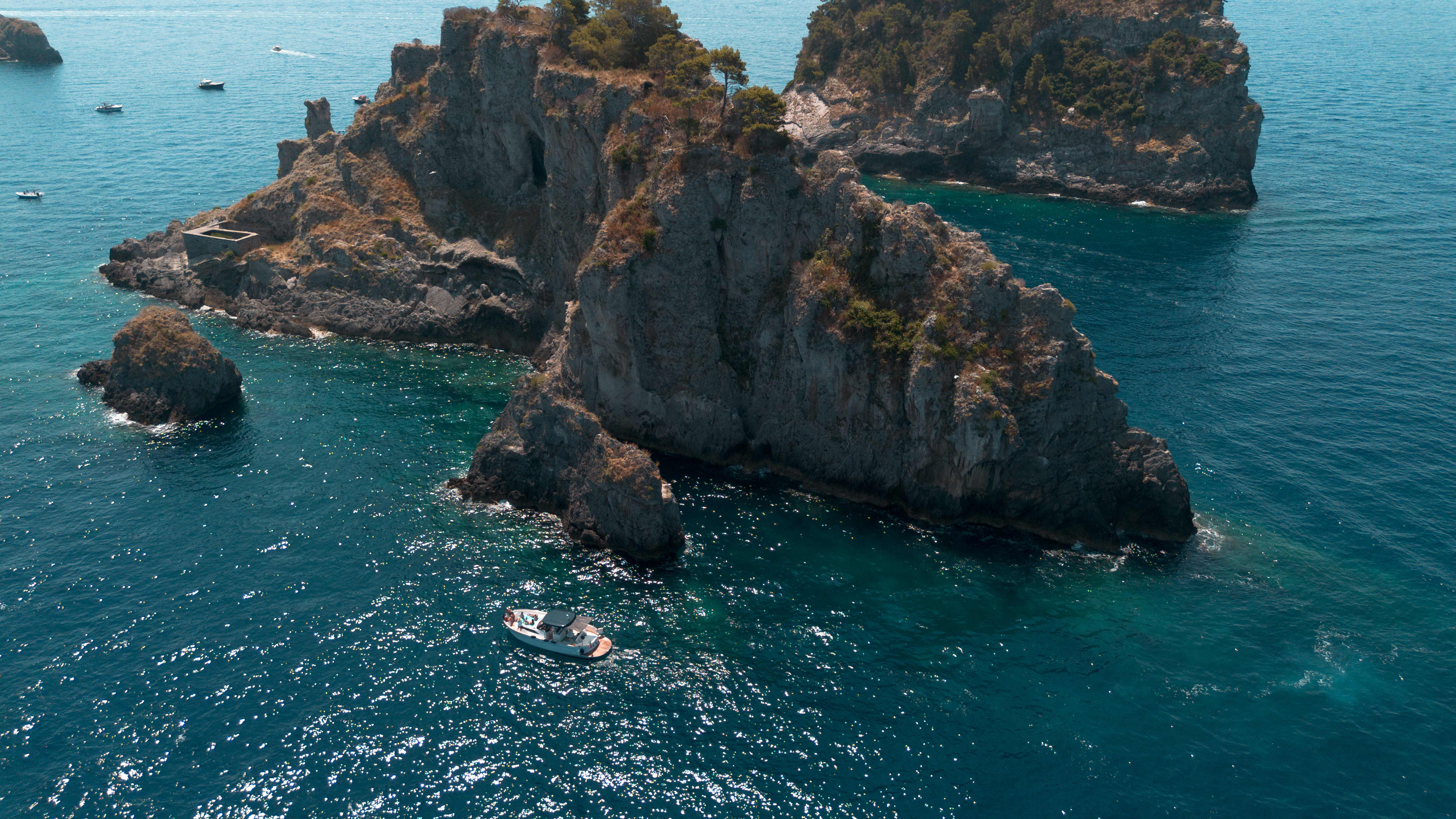 Cover of activity #8912