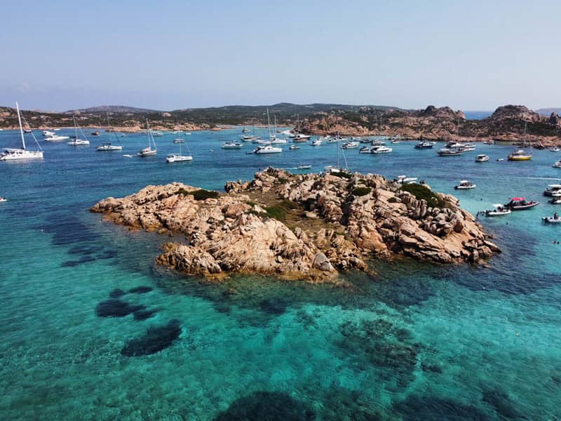 Cover of activity #9014