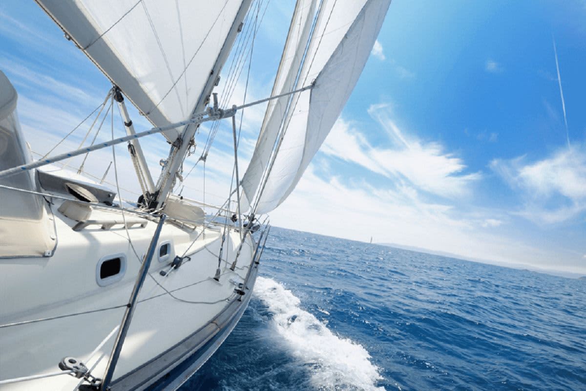 Cover of activity #9914