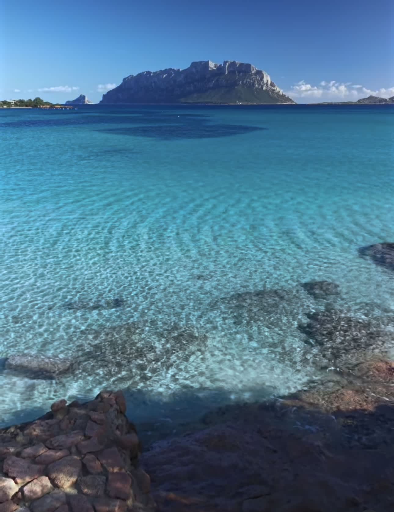 Cover of activity #11092