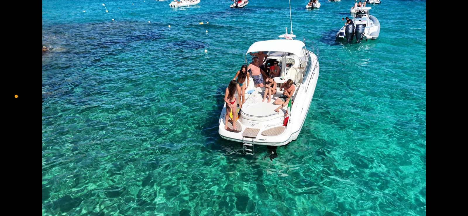 Cover of activity #12514