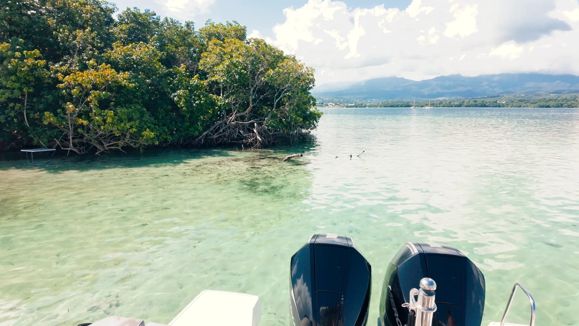 Cover of activity #15928