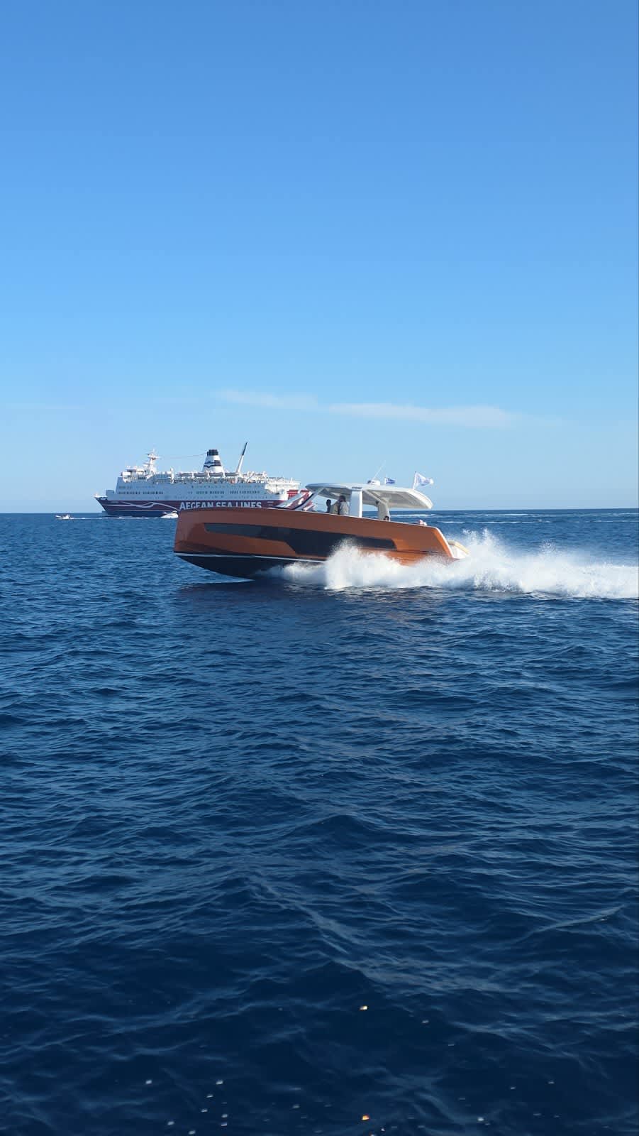 Cover of activity #29504