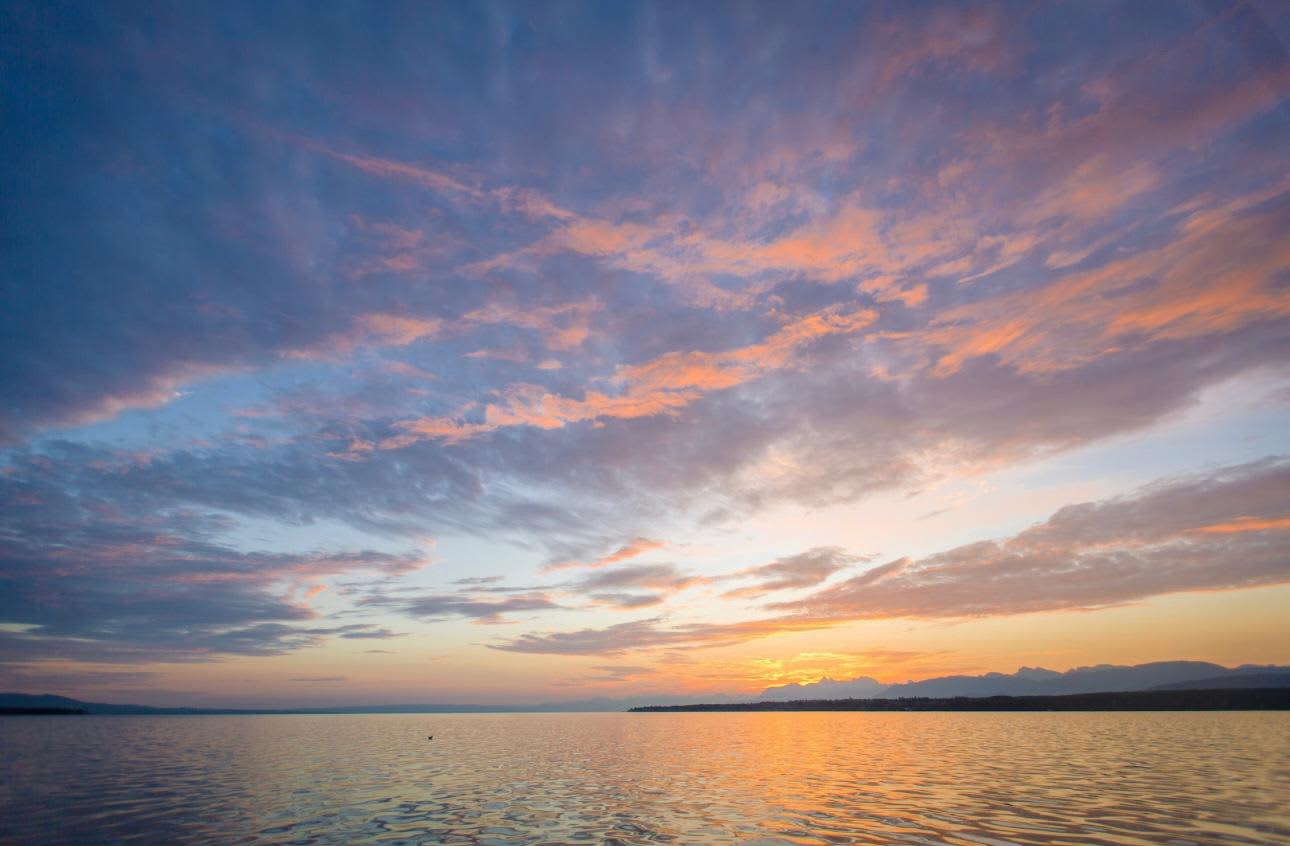 Cover of activity #10817