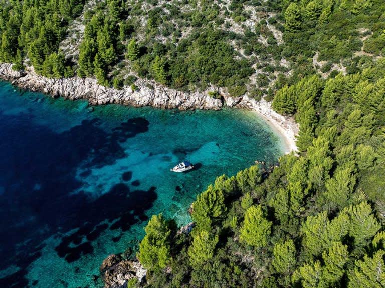 Cover of activity #10408