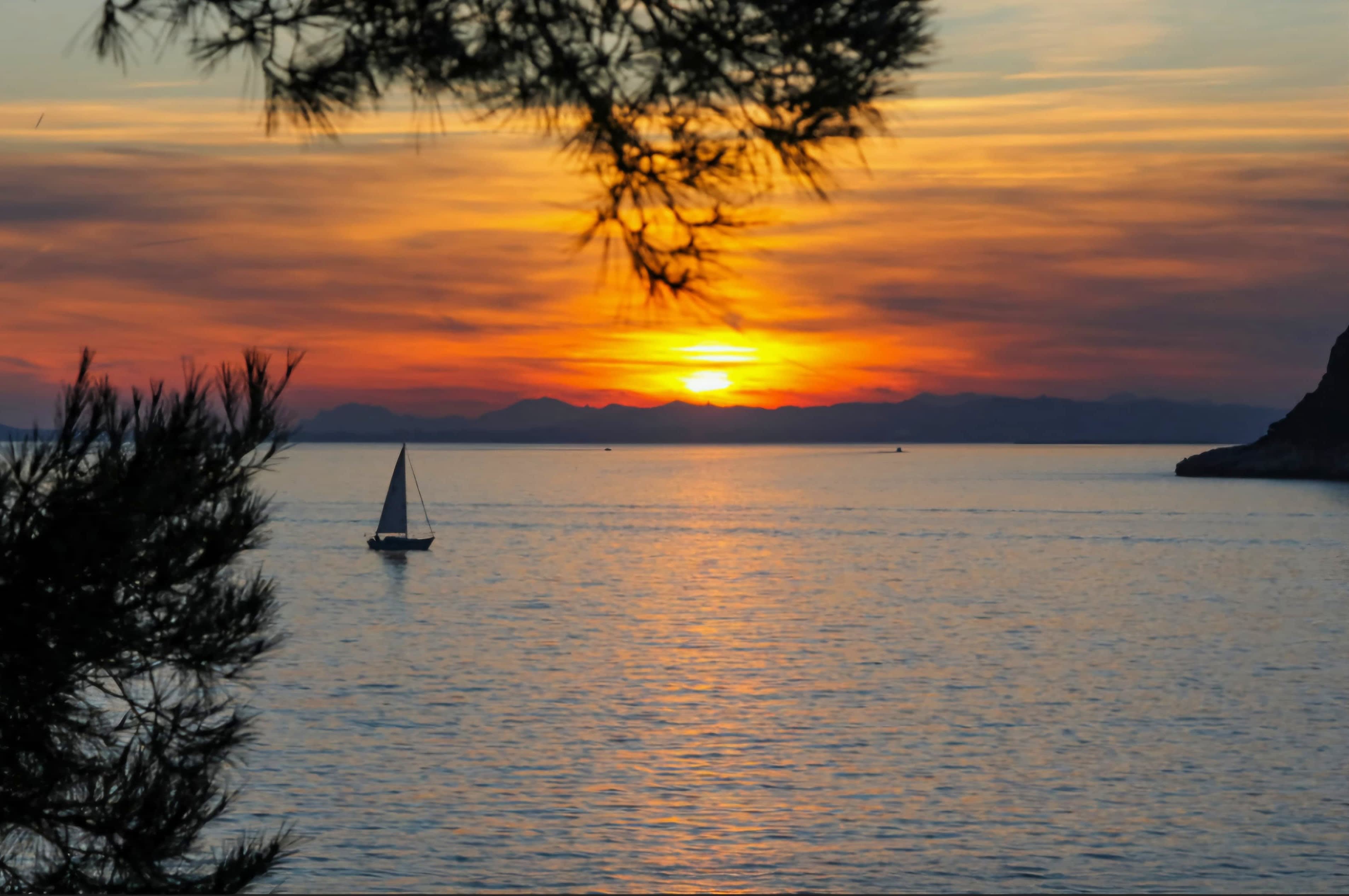 Cover of activity #10318