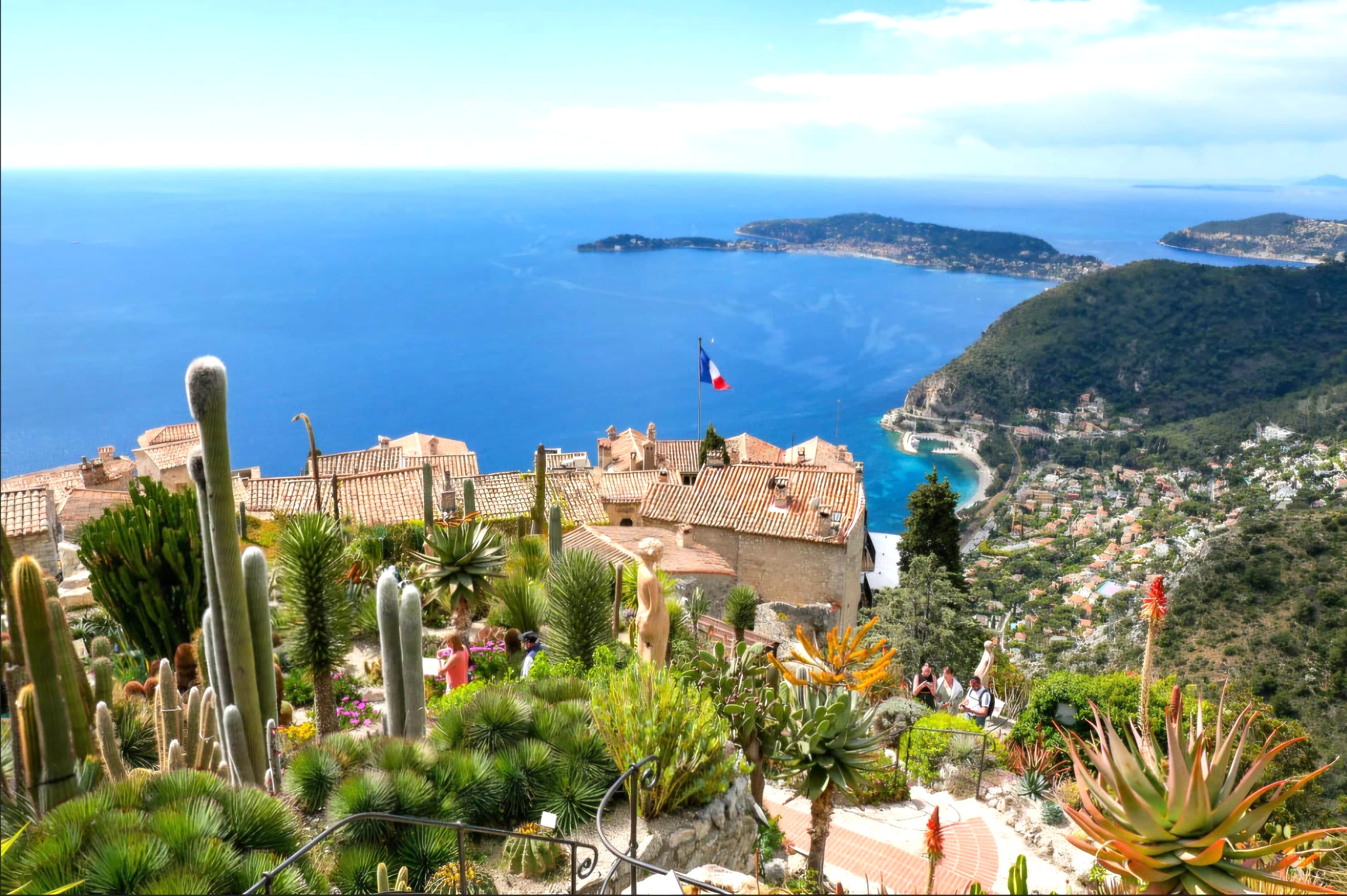 Cover of activity #10313